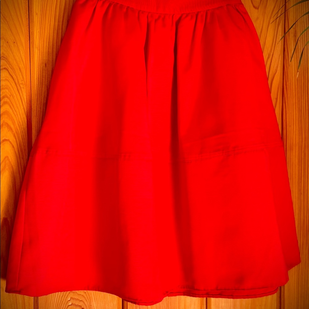 Express Midi Skirt